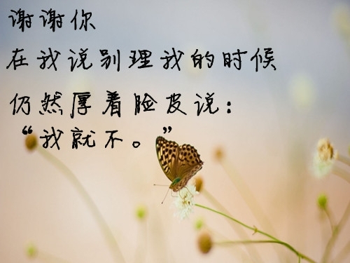 182845xi2re8v9vpe8l4er.jpg