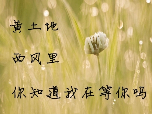 182802a9hi3eee9w15qpke.jpg