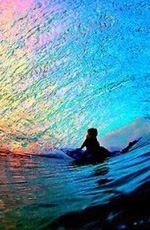 0002093230-11.jpg