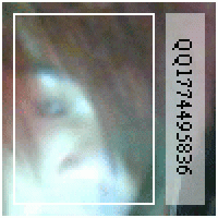 õPSDͼƬҪϵң