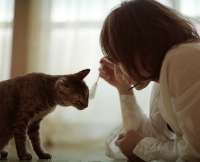鲻֪һ