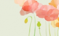 ޻ڣߵ˾ͷΨһֻз